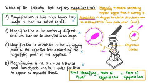 the total magnification of an object can be found by|Magnification .